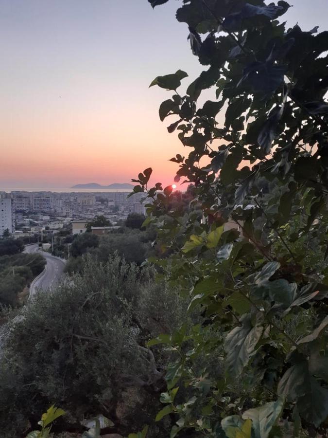 Vlorë Vila Oliven מראה חיצוני תמונה